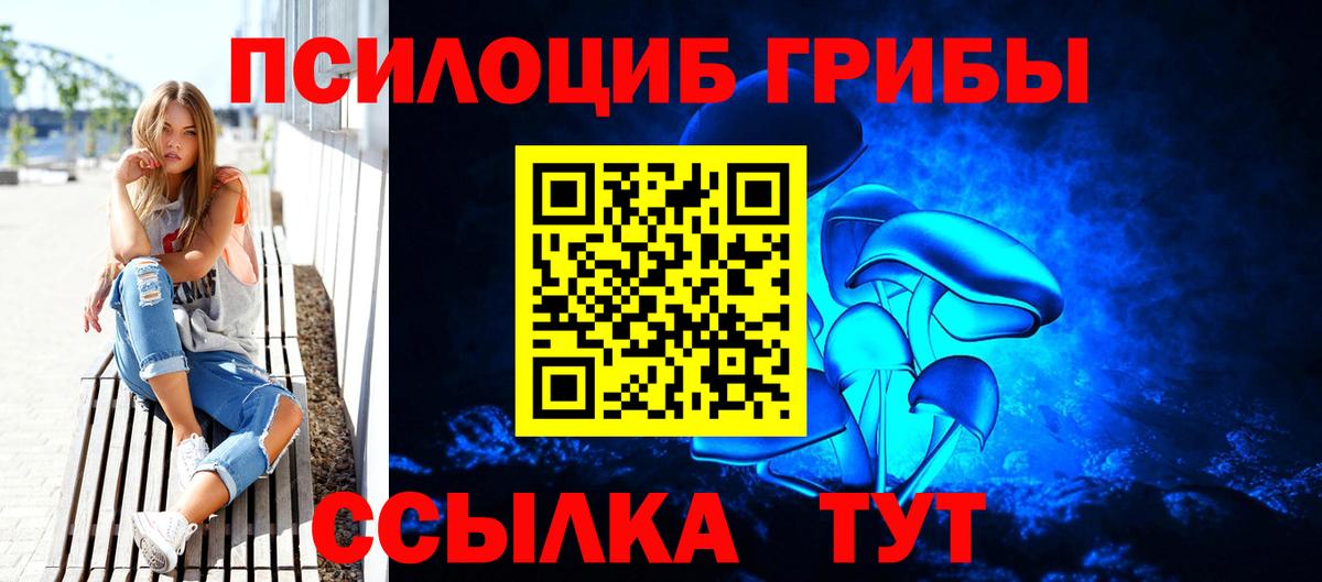Псилоцибиновые грибы Psilocybe  купить закладку  Верхняя Пышма  Вход с VPN 